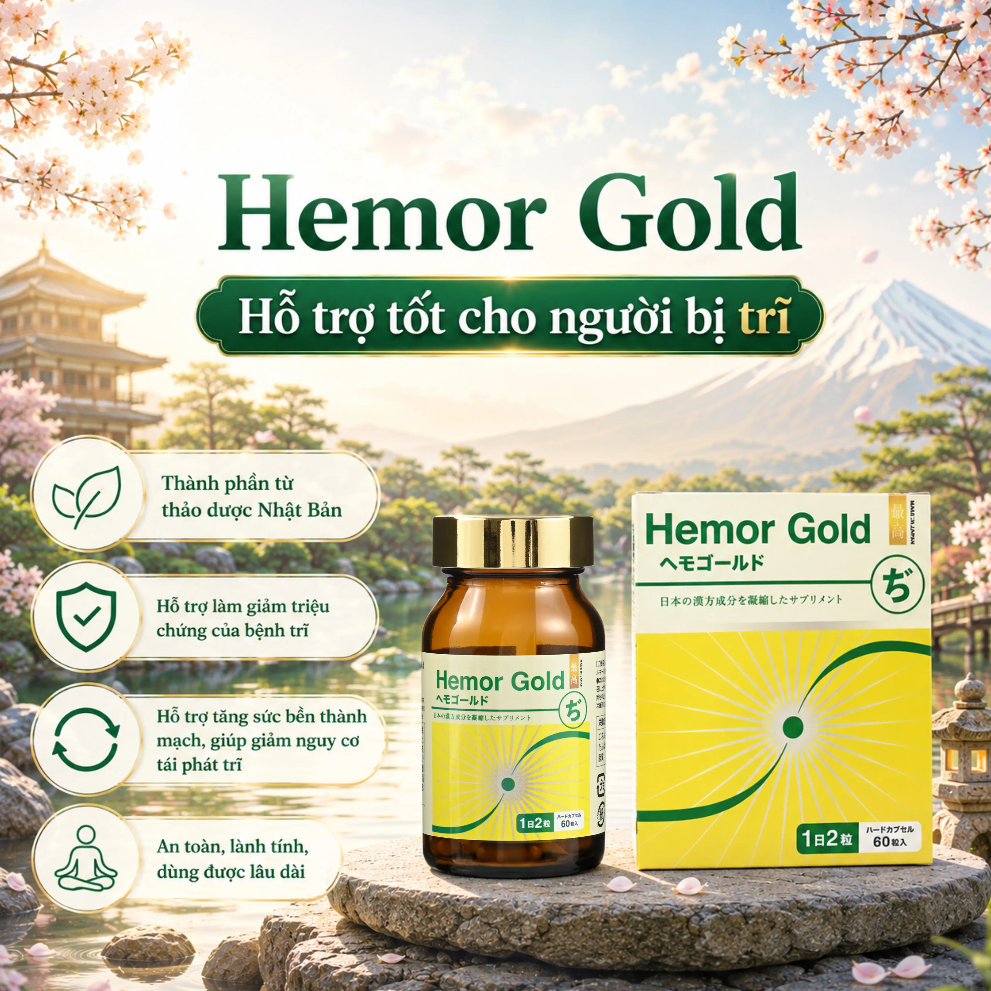 VIÊN UỐNG HỖ TRỢ CHO NGƯỜI BỊ TRĨ HEMOR GOLD JPANWELL 60V 2