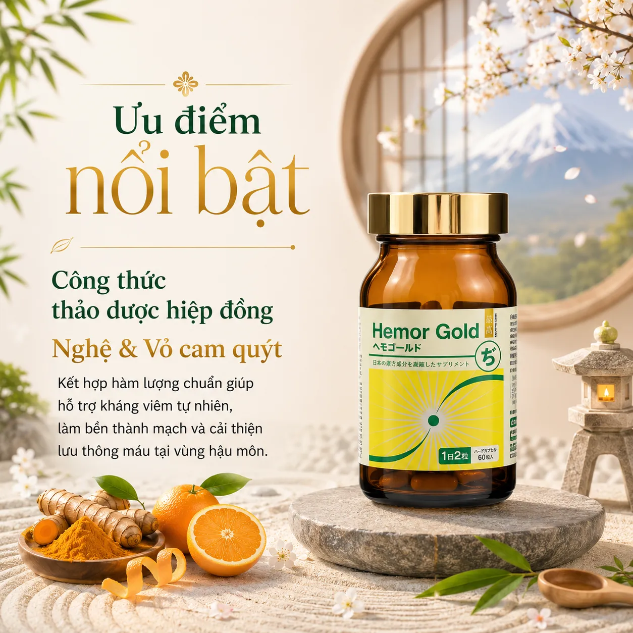 VIÊN UỐNG HỖ TRỢ CHO NGƯỜI BỊ TRĨ HEMOR GOLD JPANWELL 60V 3