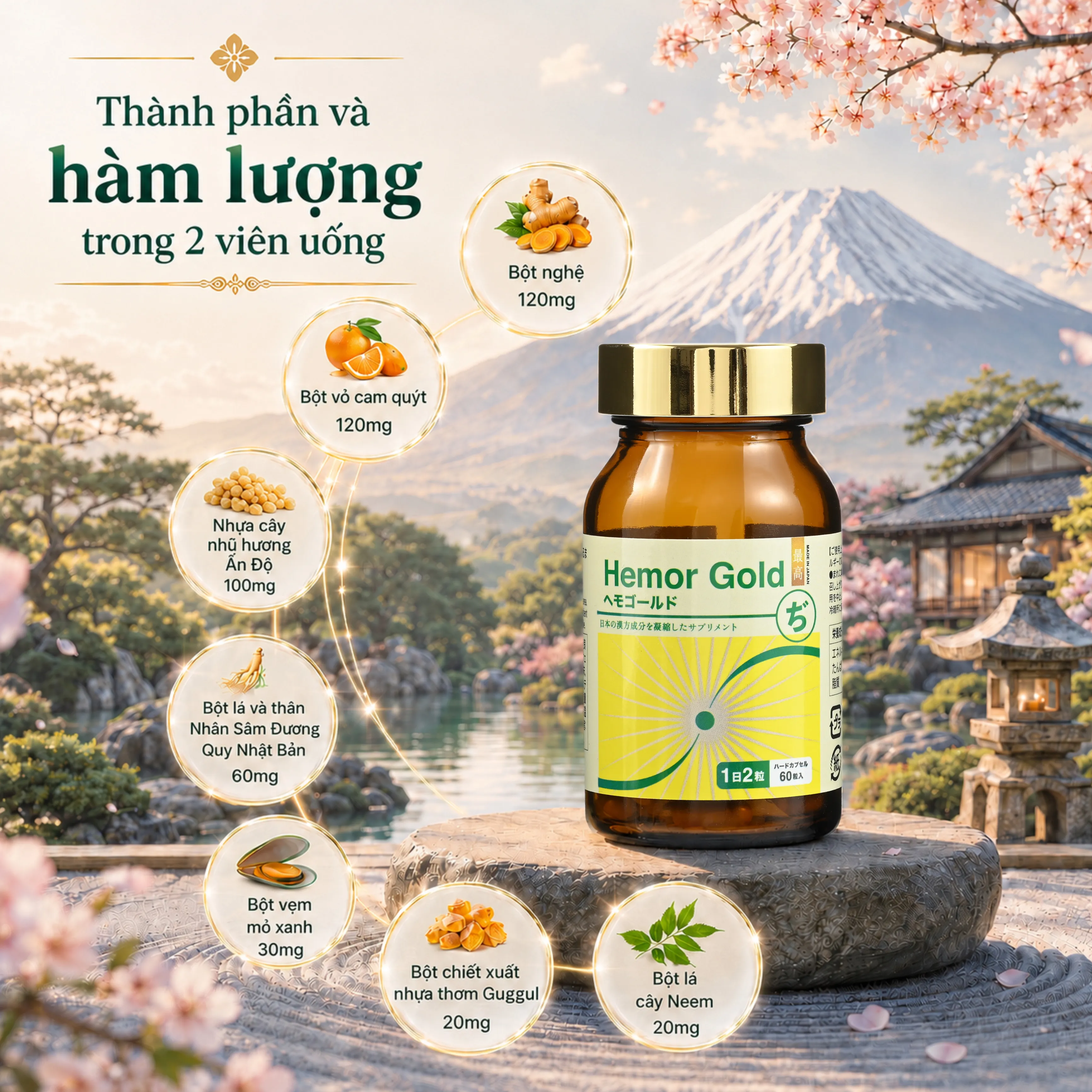 VIÊN UỐNG HỖ TRỢ CHO NGƯỜI BỊ TRĨ HEMOR GOLD JPANWELL 60V 5