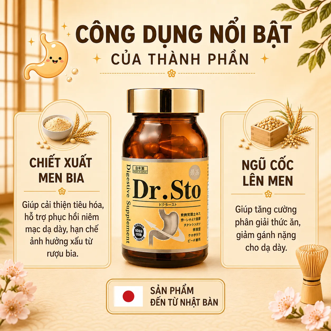 VIÊN UỐNG HỖ TRỢ DẠ DÀY DR. STO JPANWELL 60V 5