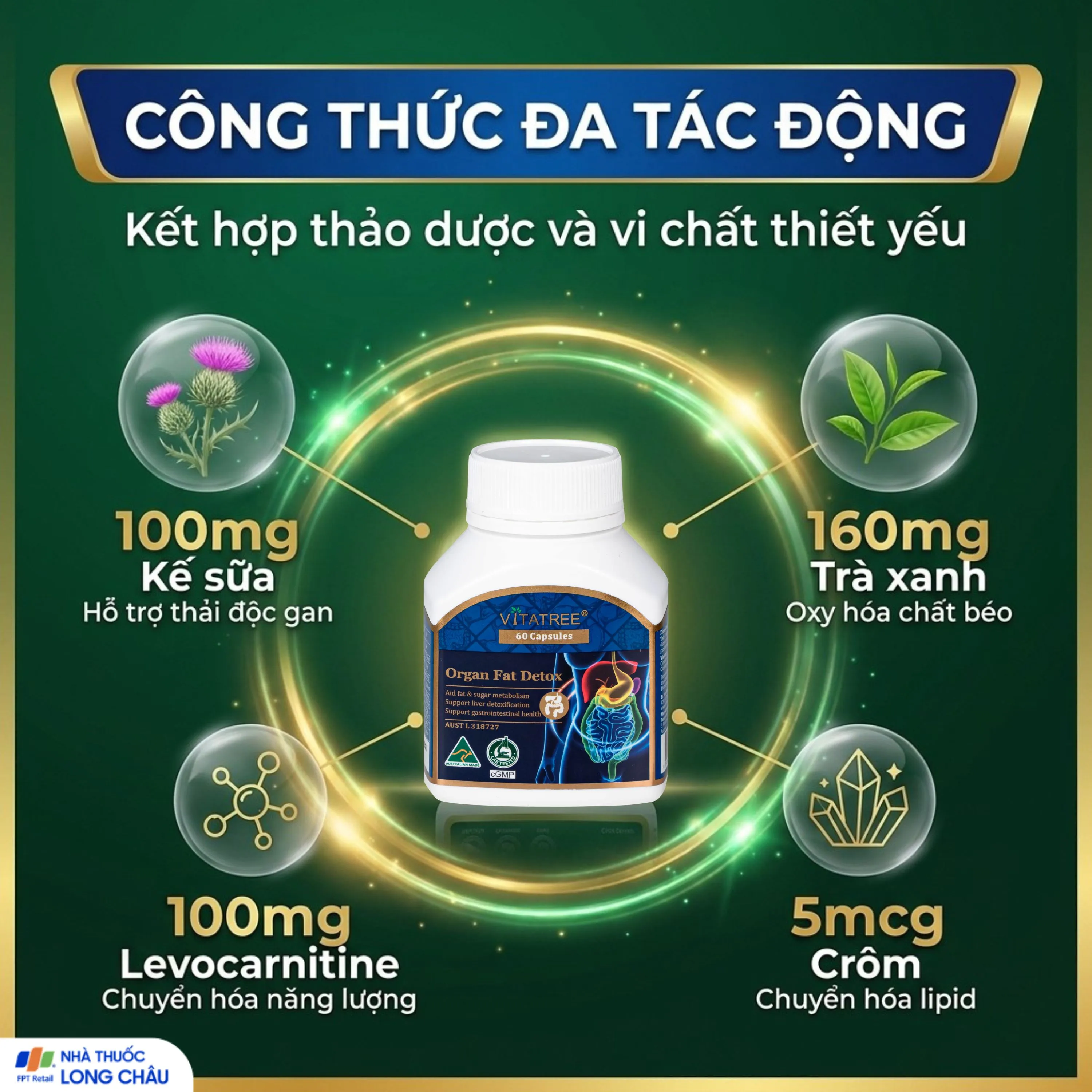 VIÊN UỐNG HỖ TRỢ GIẢI ĐỘC GAN, TĂNG CƯỜNG CHUYỂN HOÁ CHẤT BÉO, GIÚP GIẢM MỠ MÁU VITATREE ORGAN FAT DETOX 60V 4