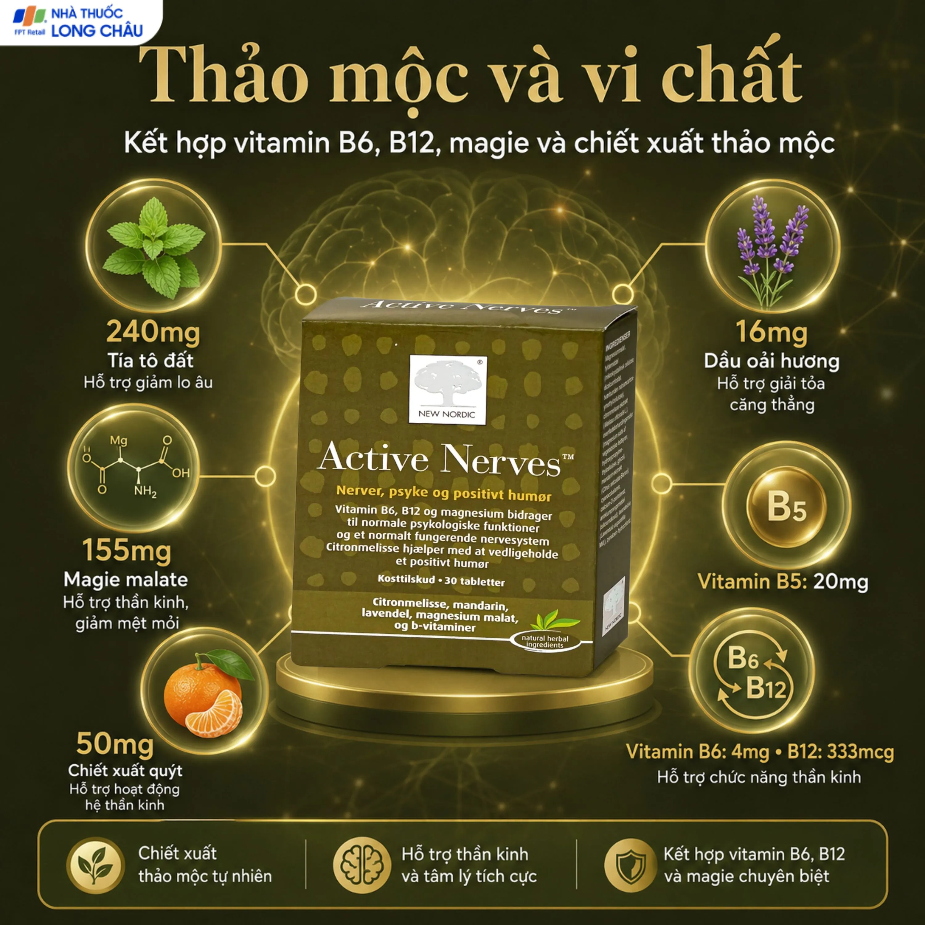 VIÊN UỐNG HỖ TRỢ GIẢM MỆT MỎI ACTIVE NERVES NEW NORDIC 30V 4