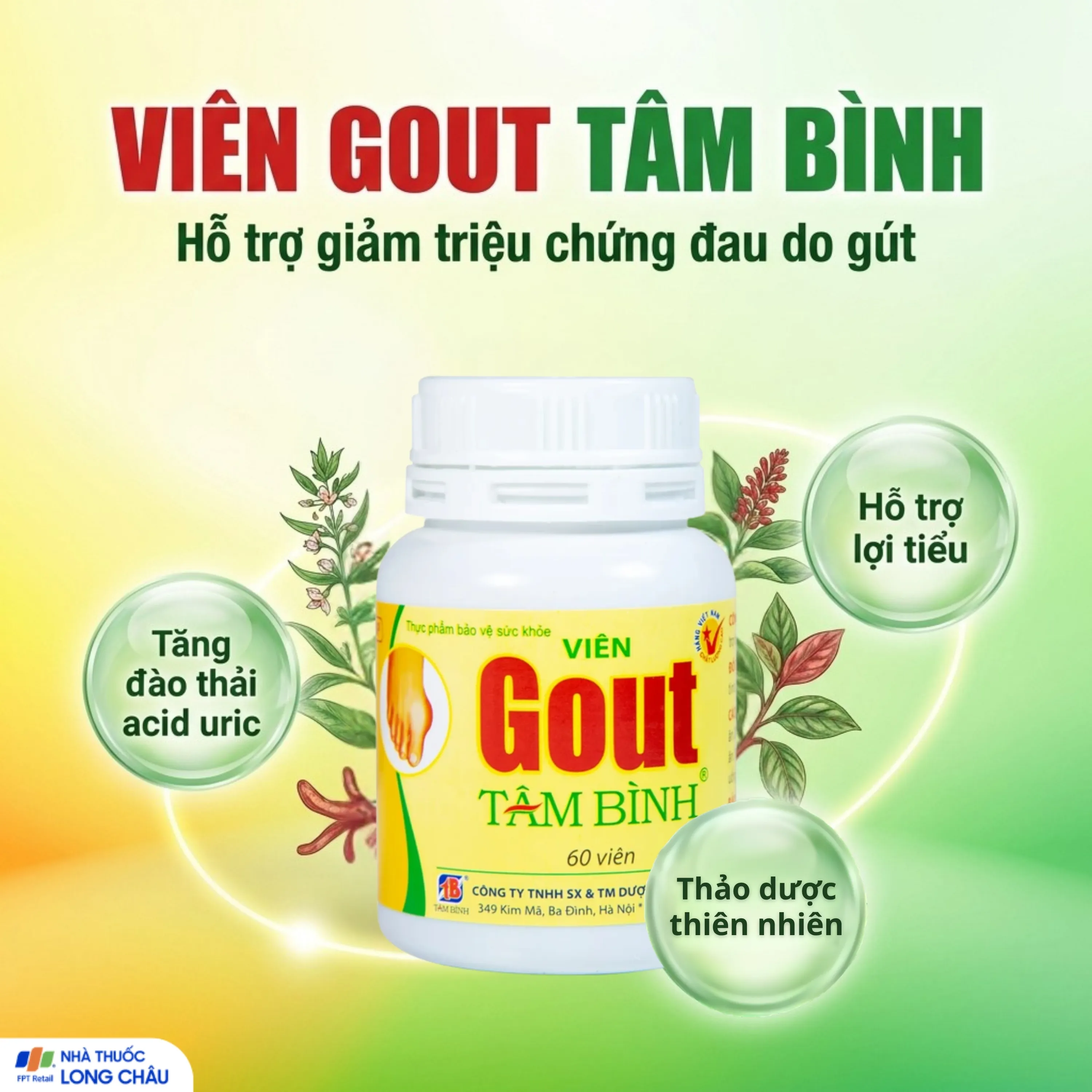 VIÊN UỐNG HỖ TRỢ GIẢM TRIỆU CHỨNG ĐAU DO GÚT GOUT TÂM BÌNH 60V 2