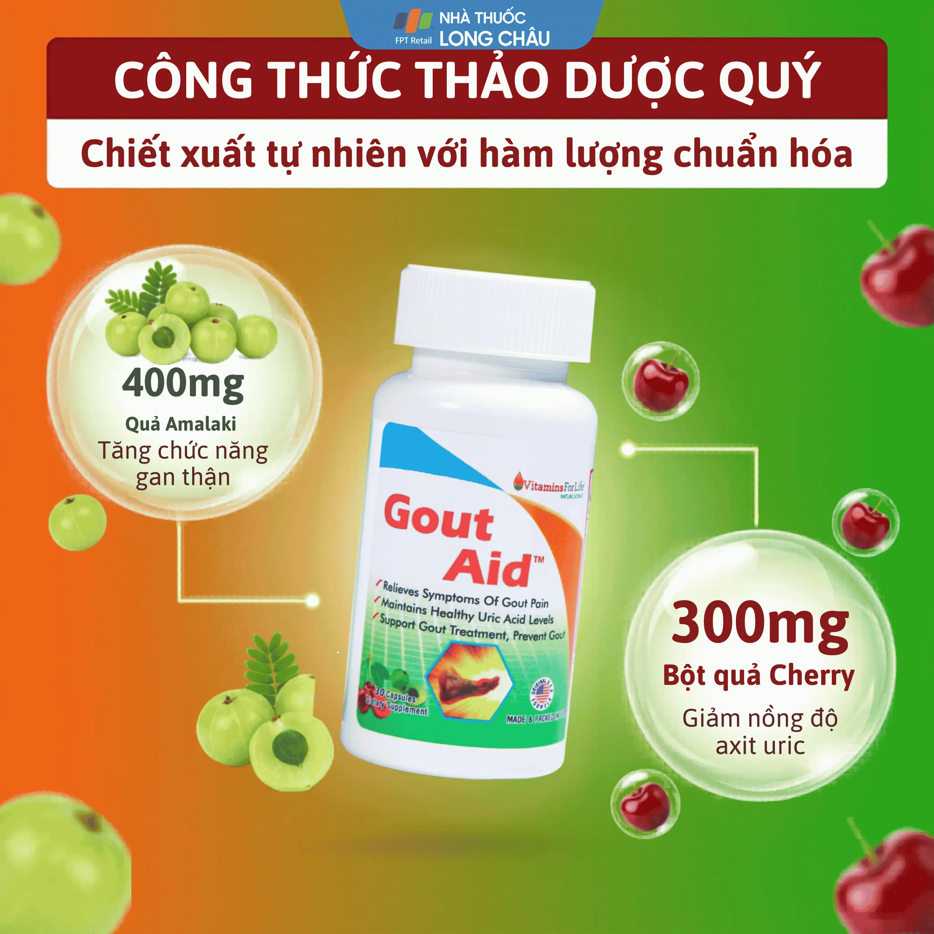 VIÊN UỐNG HỖ TRỢ NGƯỜI BỊ GOUT, CHỈ SỐ ACID URIC CAO-GOUT AID VITAMINS FOR LIFE 30V 3