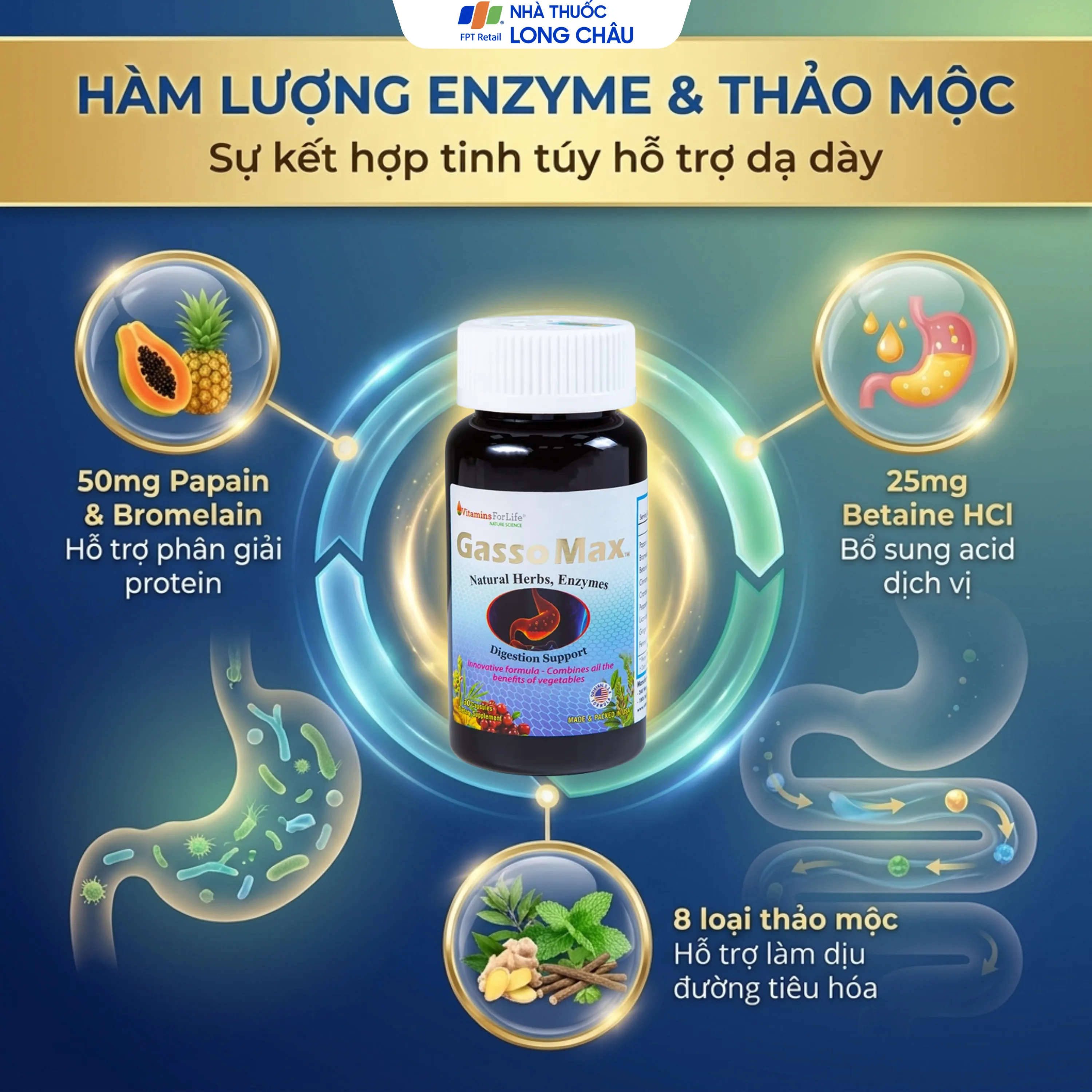VIÊN UỐNG HỖ TRỢ TIÊU HÓA GASSOMAX VITAMINS FOR LIFE 30V 2