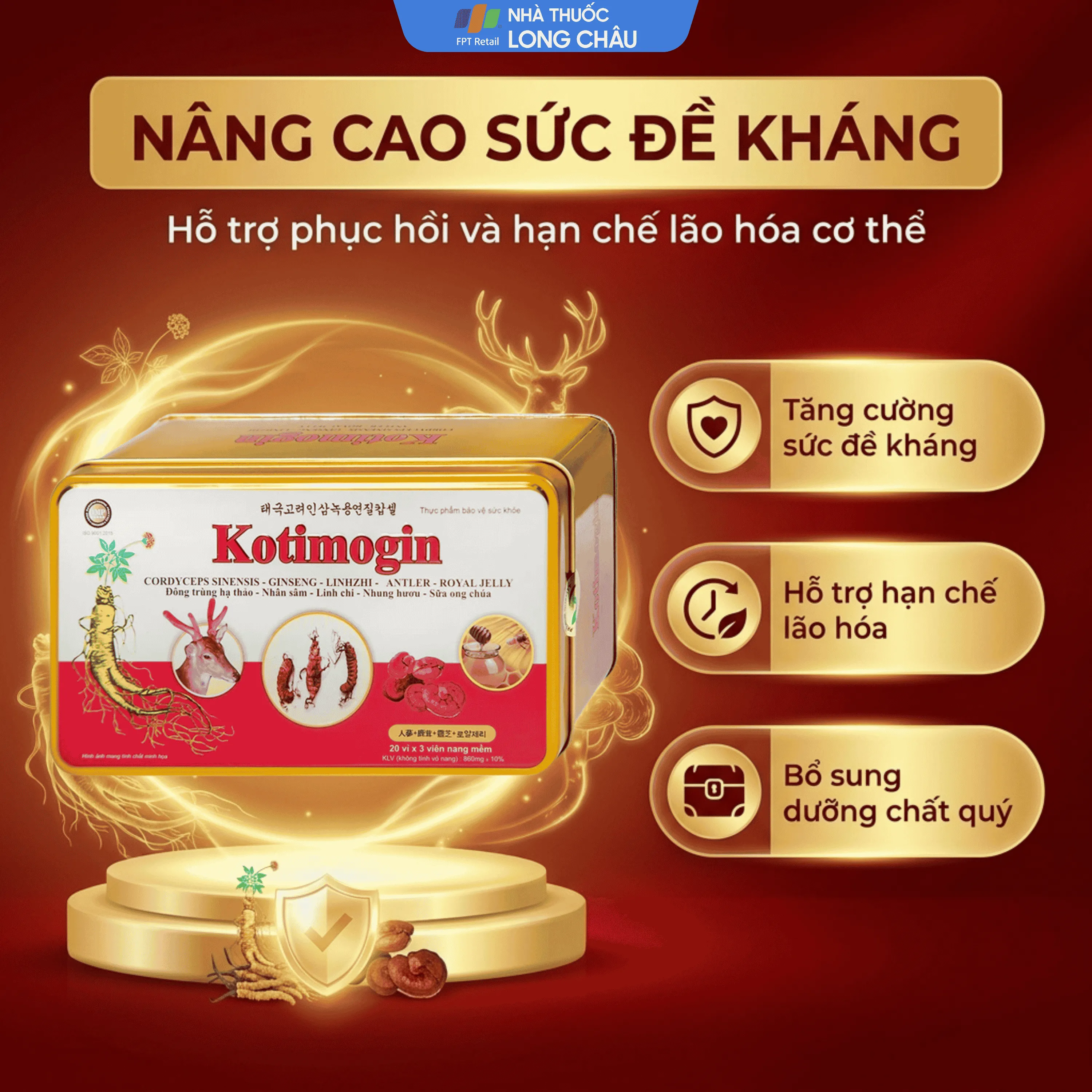 VIÊN UỐNG SÂM - ĐÔNG TRÙNG HẠ THẢO KOTIMOGIN 20X3 2