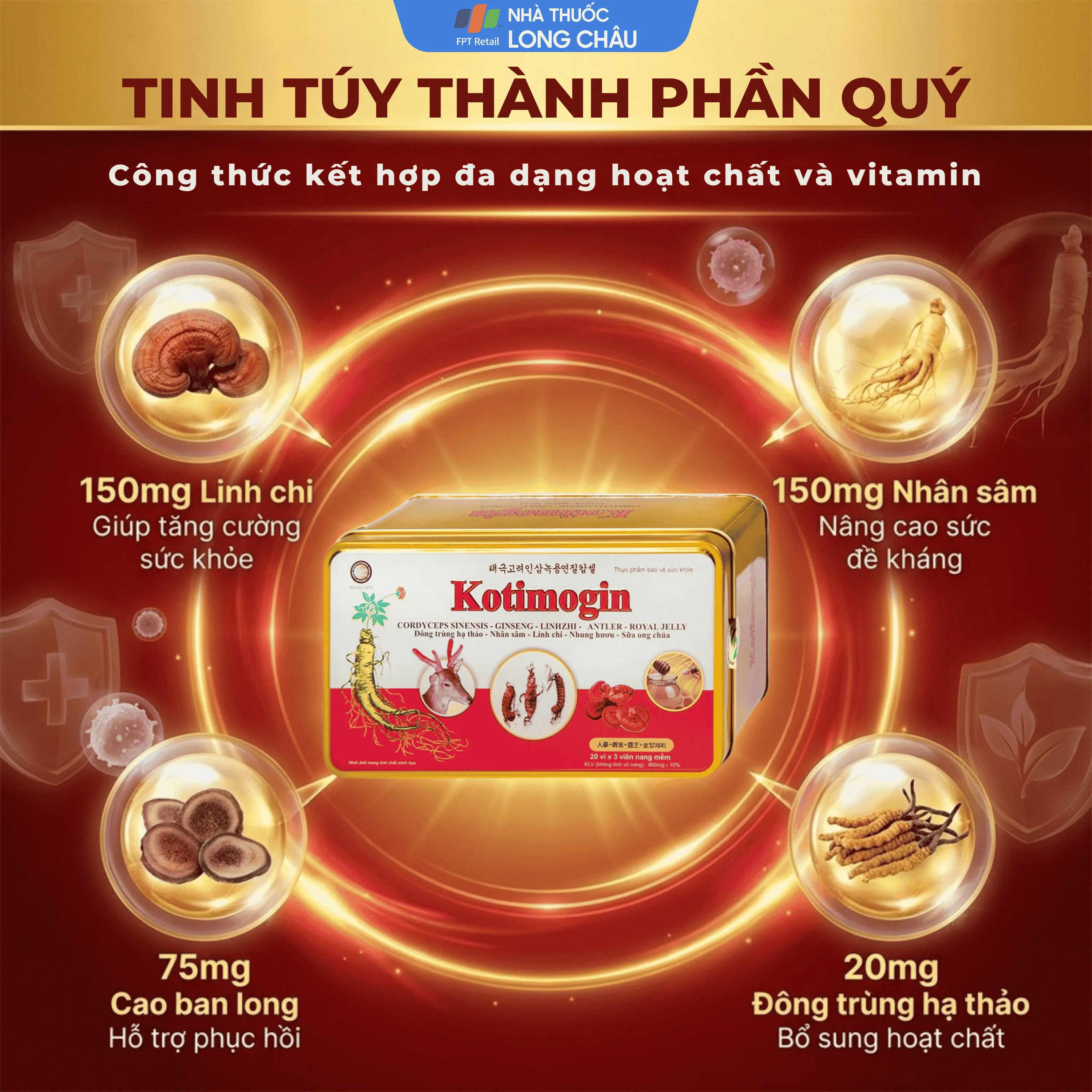 VIÊN UỐNG SÂM - ĐÔNG TRÙNG HẠ THẢO KOTIMOGIN 20X3 3