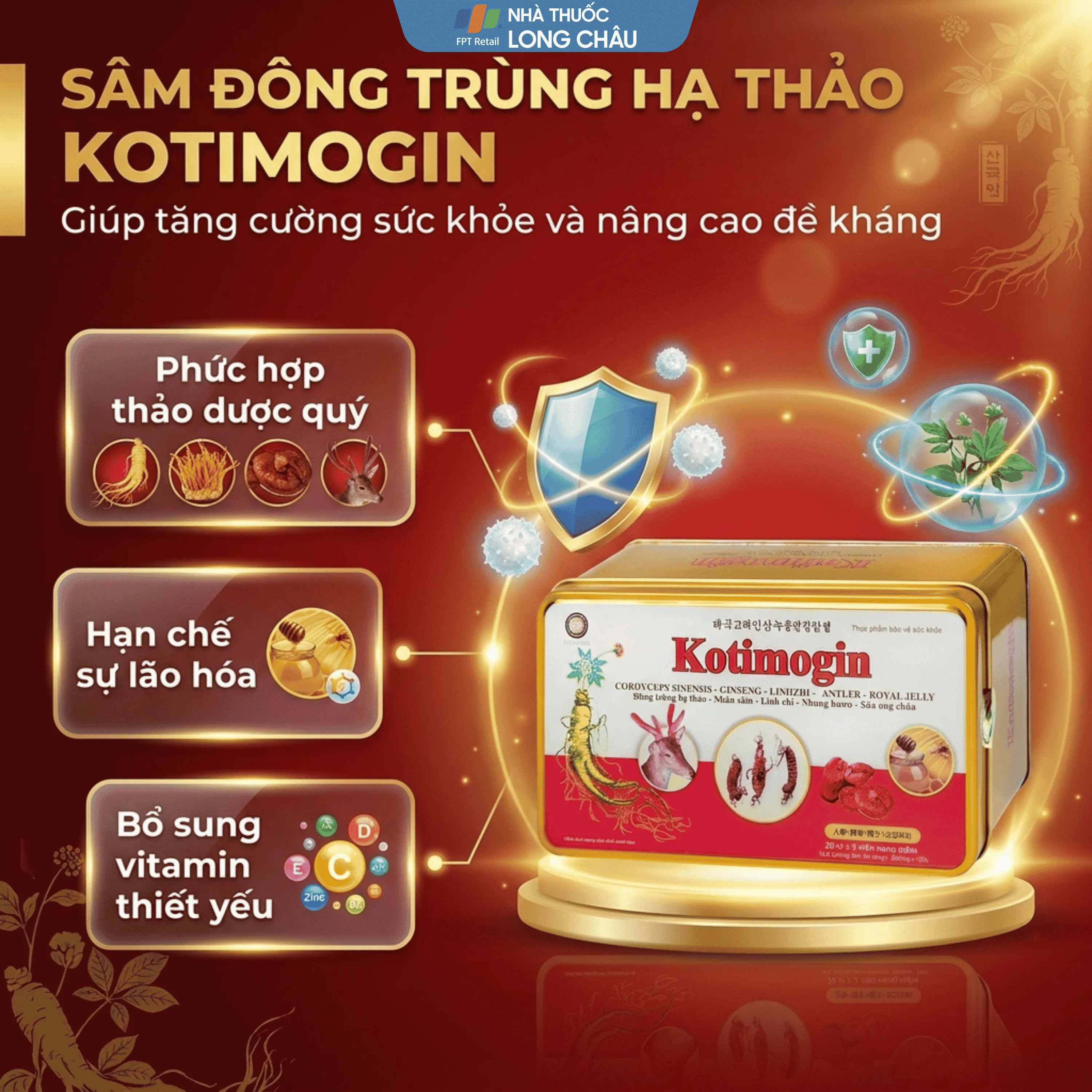 VIÊN UỐNG SÂM - ĐÔNG TRÙNG HẠ THẢO KOTIMOGIN 20X3 4