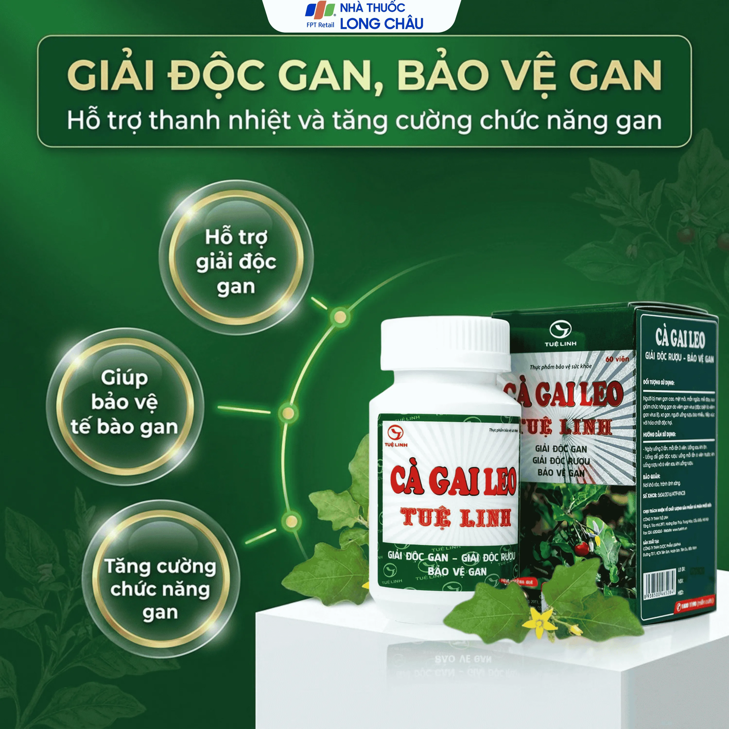 VIÊN UỐNG TĂNG CƯỜNG CHỨC NĂNG GIẢI ĐỘC GAN CÀ GAI LEO TUỆ LINH 60V 2