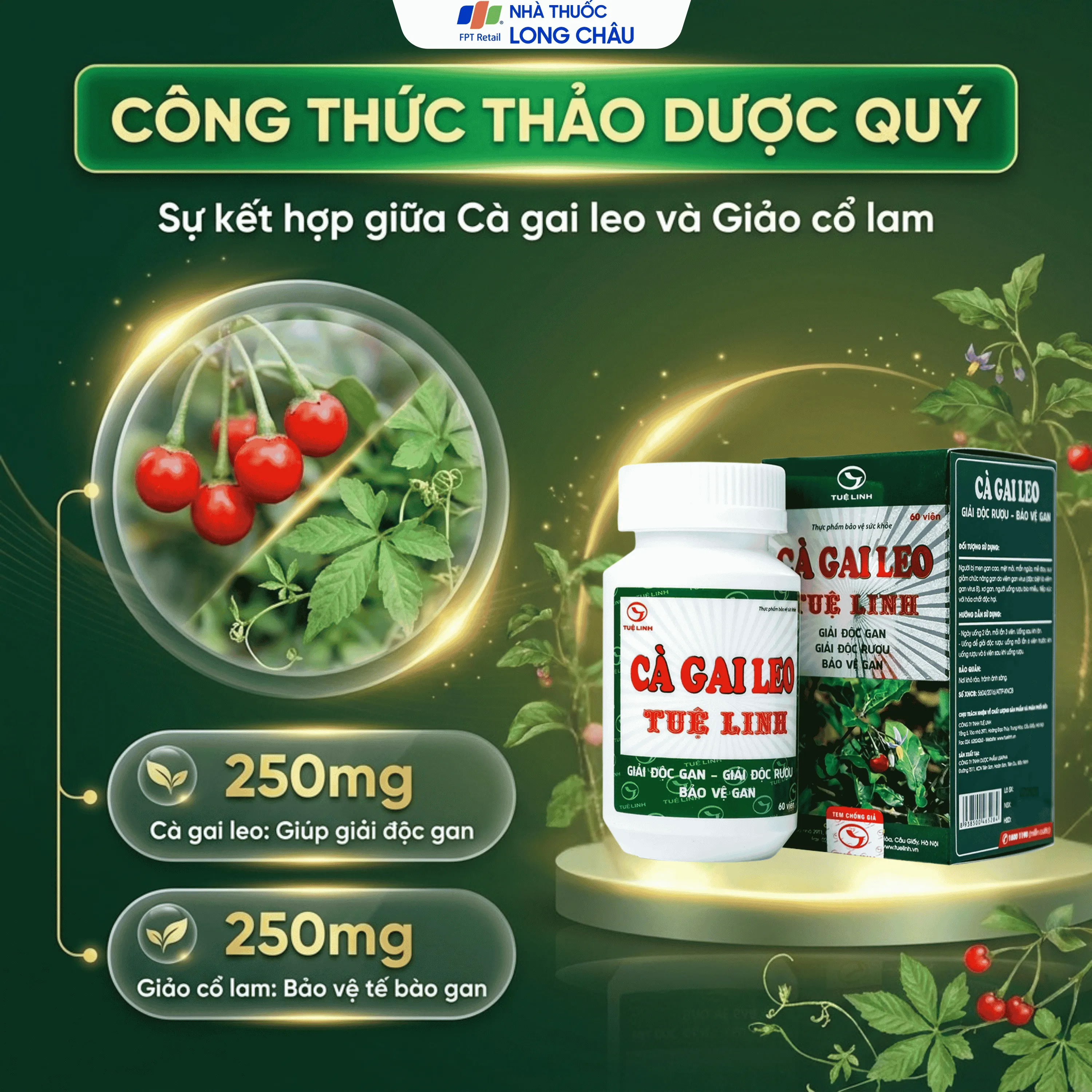VIÊN UỐNG TĂNG CƯỜNG CHỨC NĂNG GIẢI ĐỘC GAN CÀ GAI LEO TUỆ LINH 60V 3