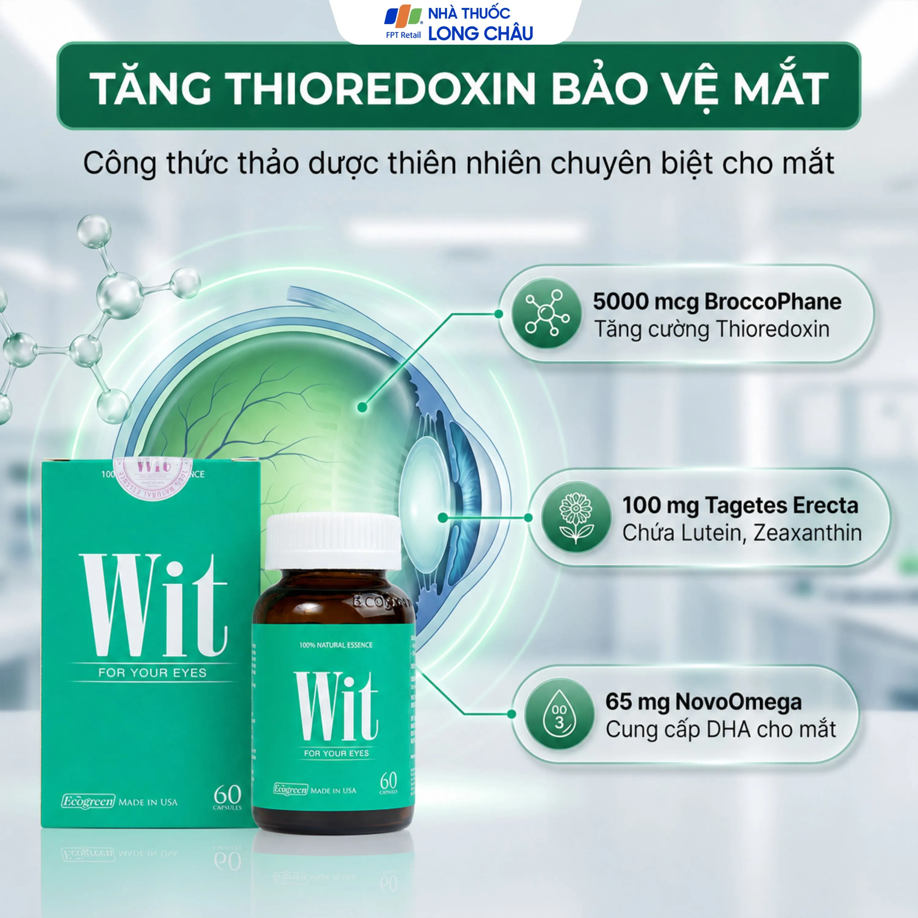 VIÊN UỐNG TĂNG CƯỜNG THỊ LỰC WIT ECOGREEN 60V 4