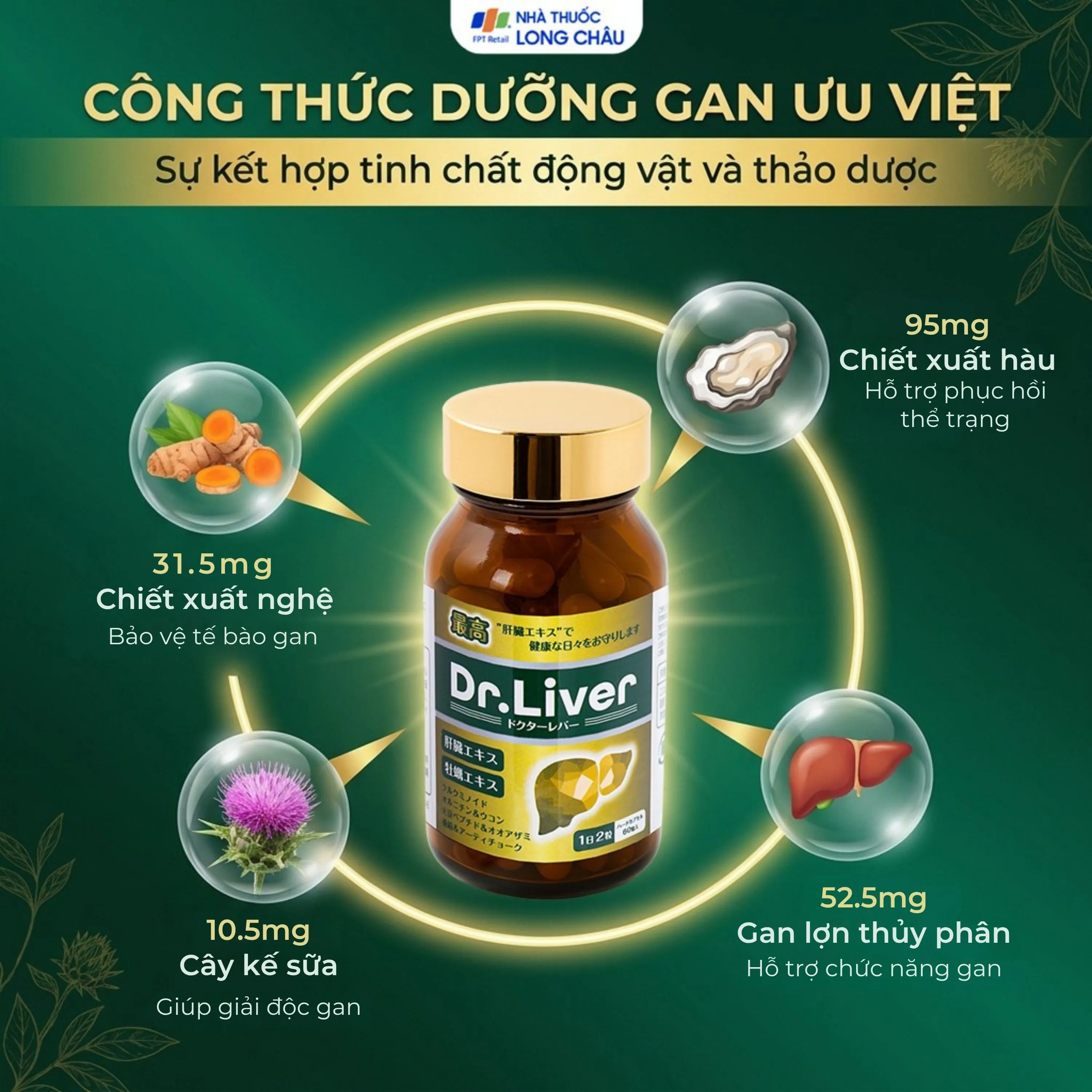 VIÊN UỐNG THẢI ĐỘC GAN DR. LIVER JPANWELL 60V 3