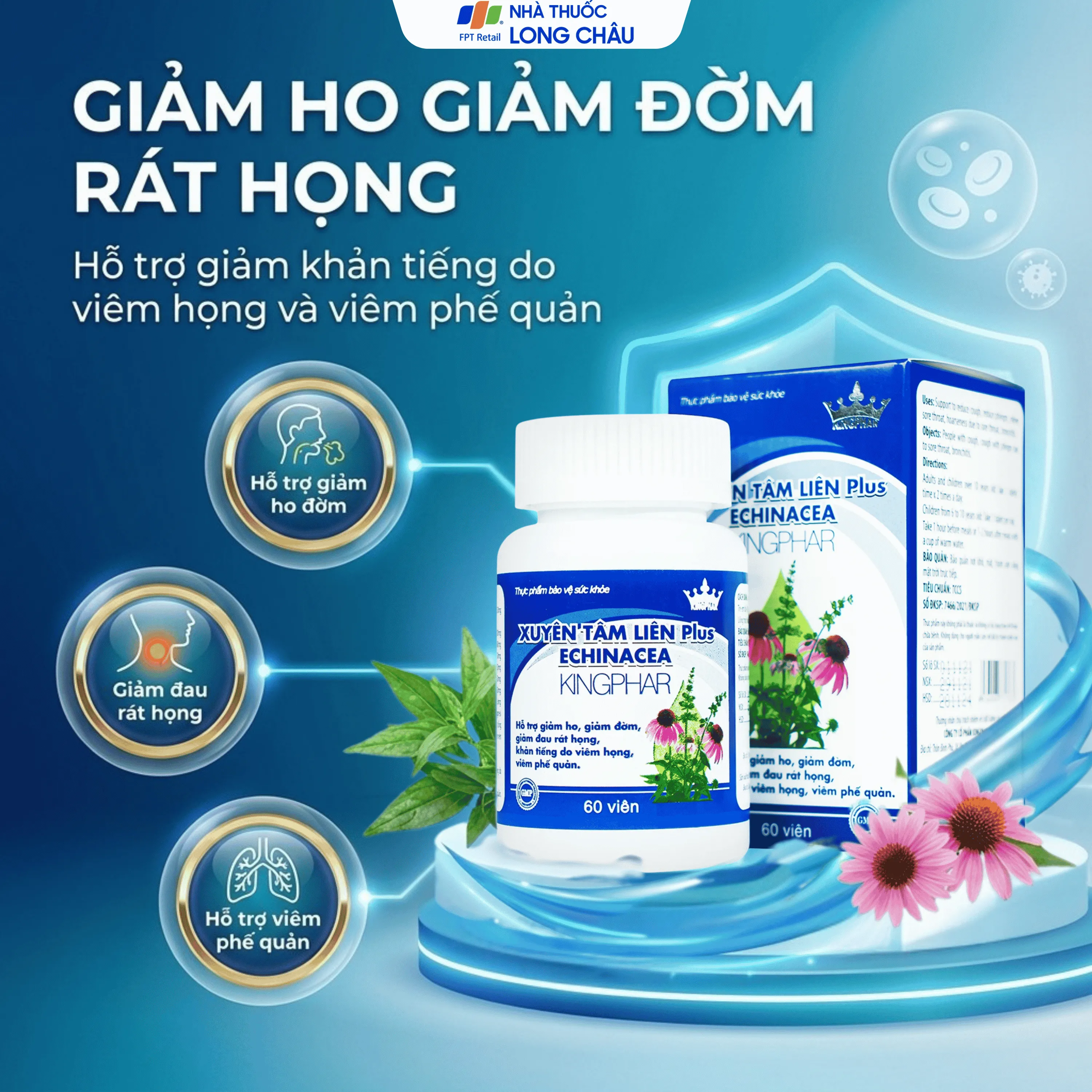 XUYÊN TÂM LIÊN PLUS ECHINACEA KINGPHAR 60V 2