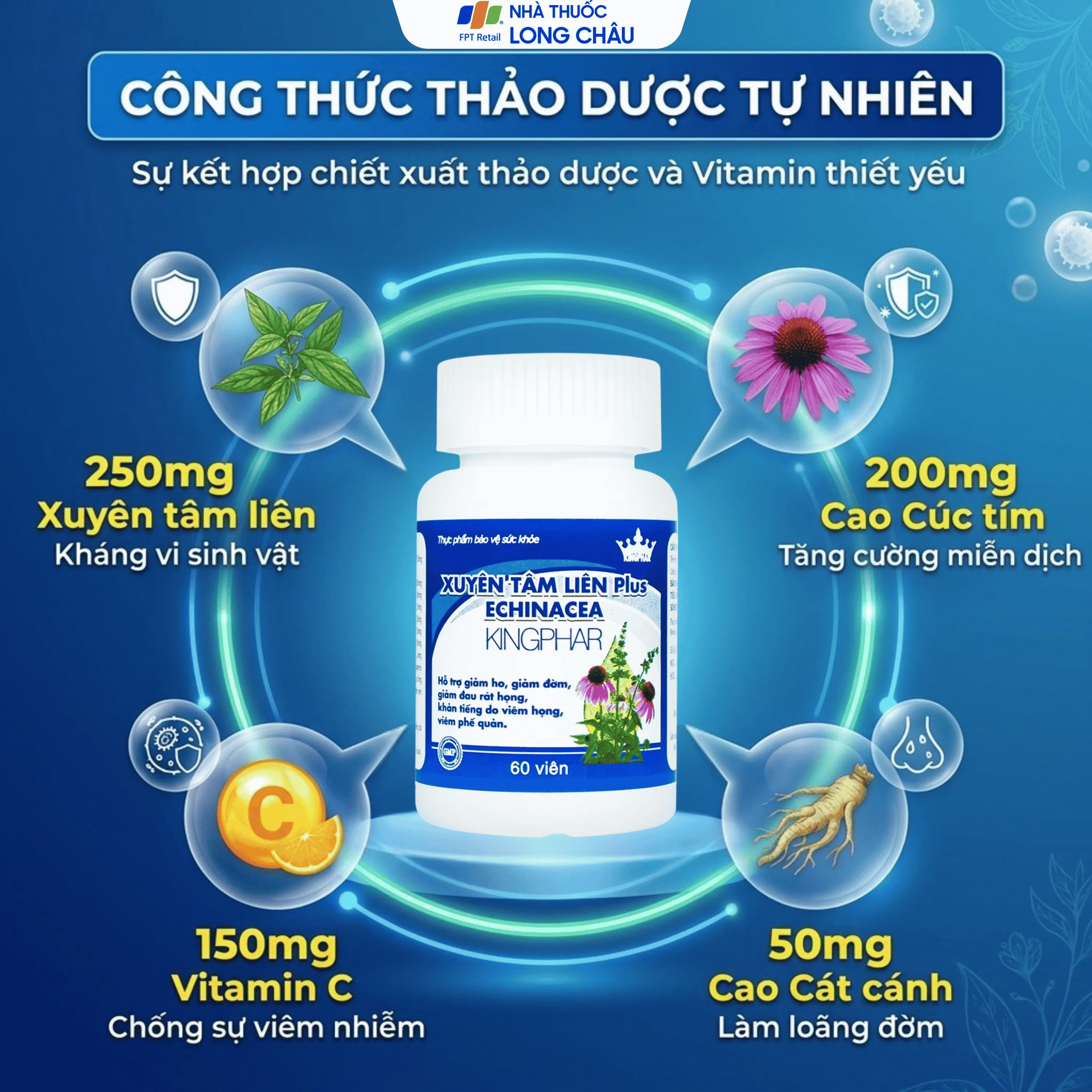 XUYÊN TÂM LIÊN PLUS ECHINACEA KINGPHAR 60V 3