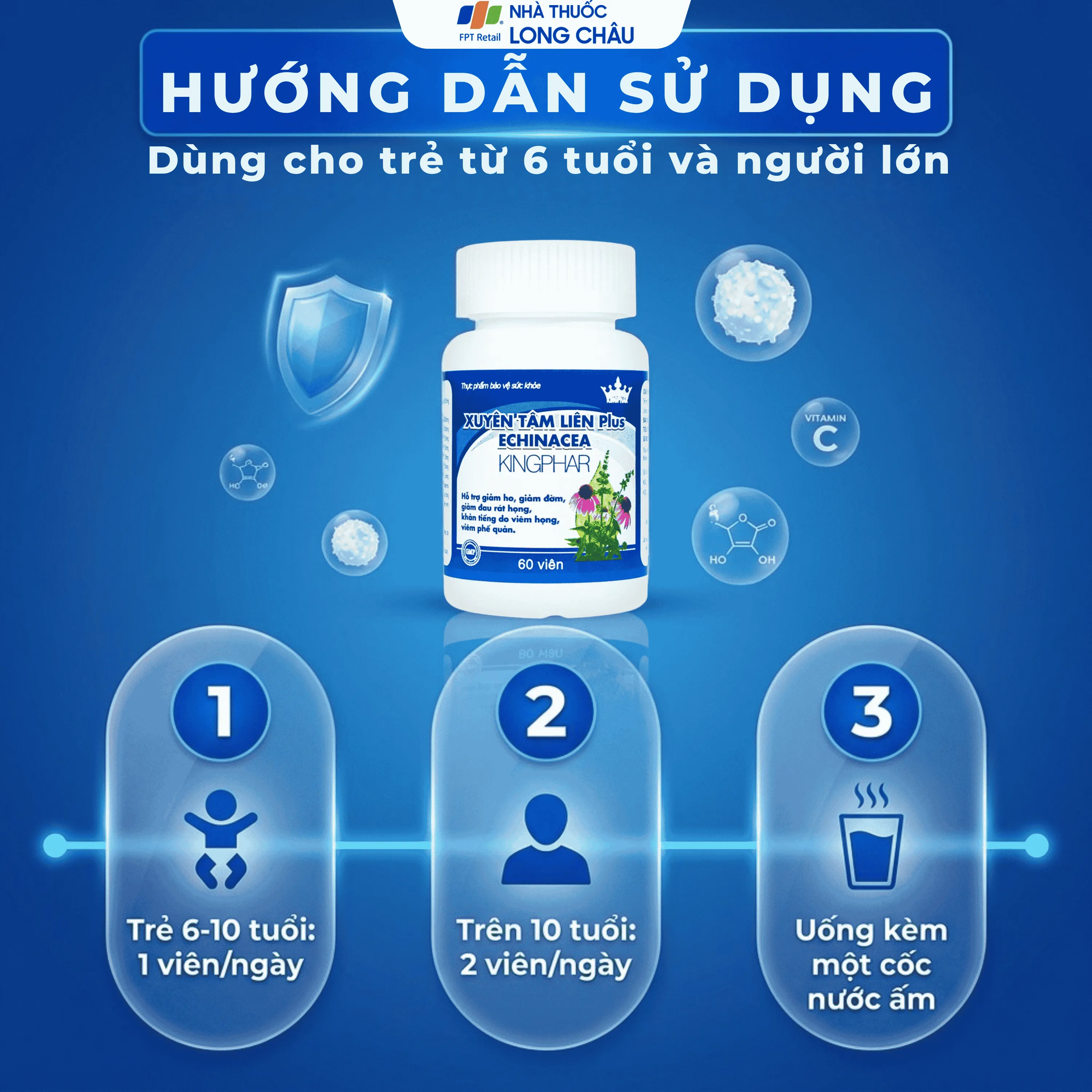 XUYÊN TÂM LIÊN PLUS ECHINACEA KINGPHAR 60V 4